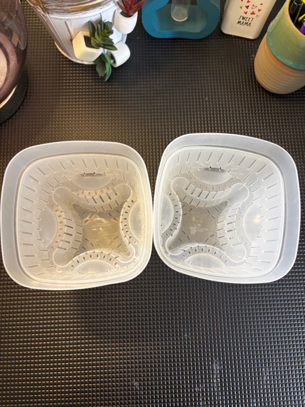 Set of 5” Naked Root Planters - Clear/Translucent - Picture 2 of 7